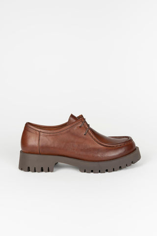 Sapato Lotti castanho