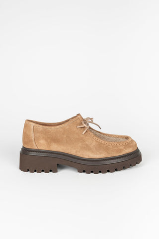 Teo camel suede shoe