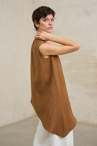 Aristea copper top